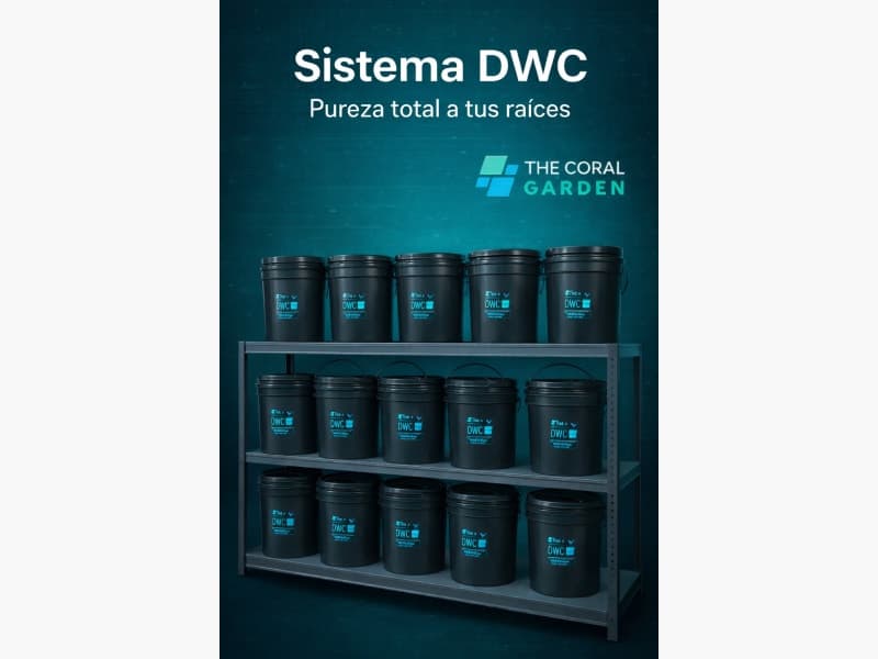 Sistema DWC Modelo TCG - DWC OCTO PRO