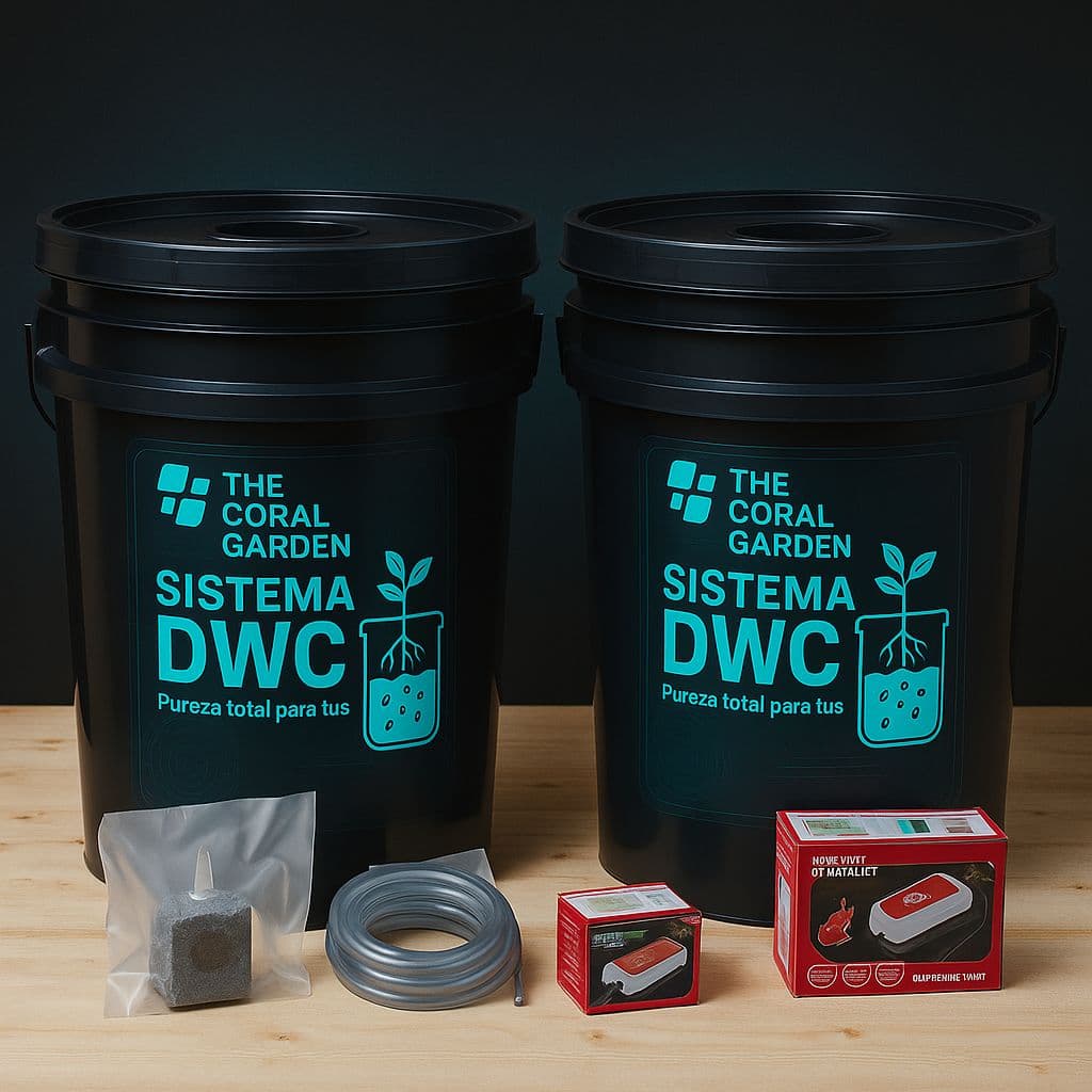 Sistema DWC